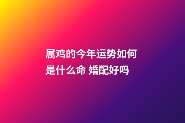 属鸡的今年运势如何 是什么命 婚配好吗